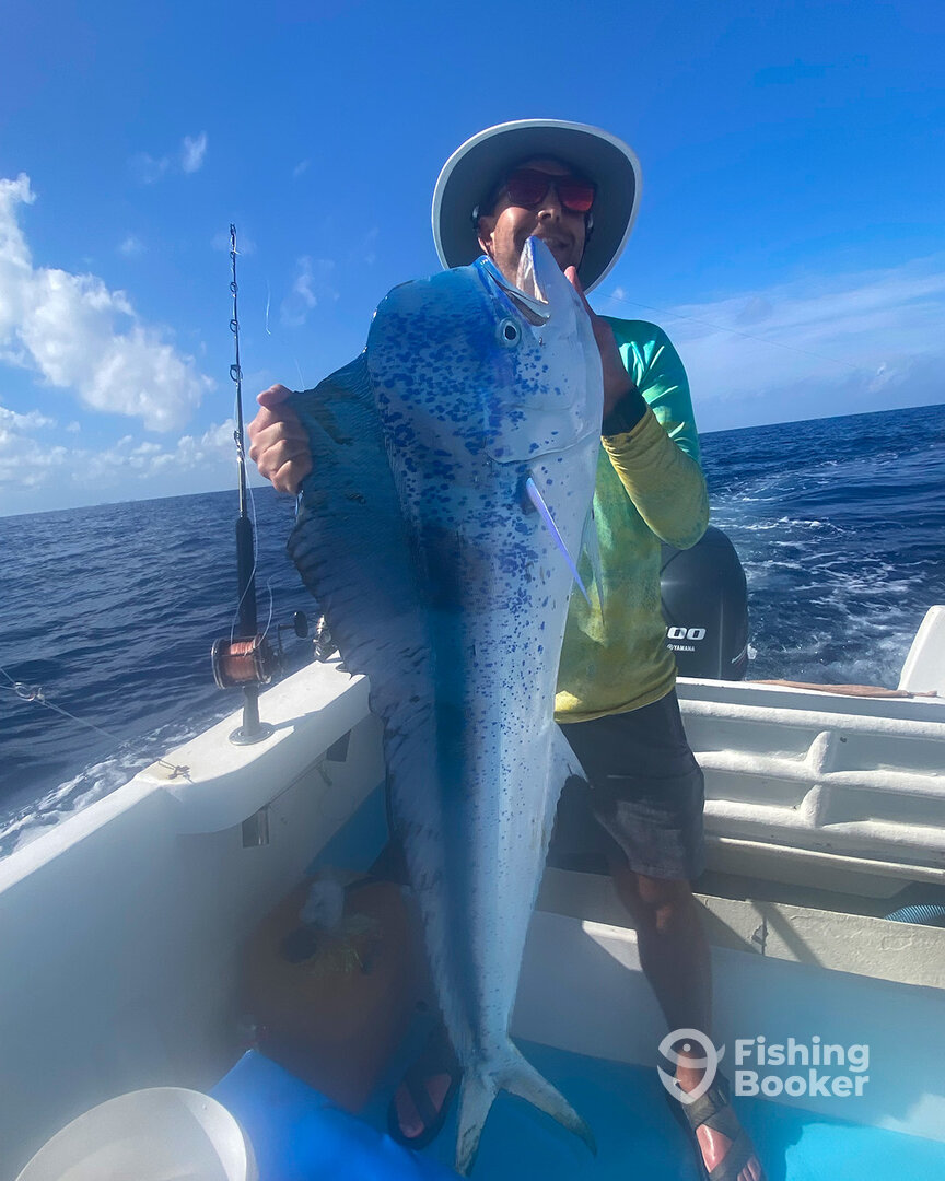 Playa Del Carmen Report Photo 0