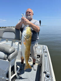 St. Bernard Report Photo 1