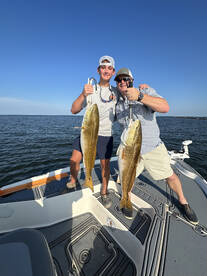 St. Bernard Report Photo 2