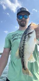 Big Bass Biting on Table Rock