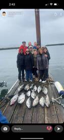 Willapa Bay Report Photo 1