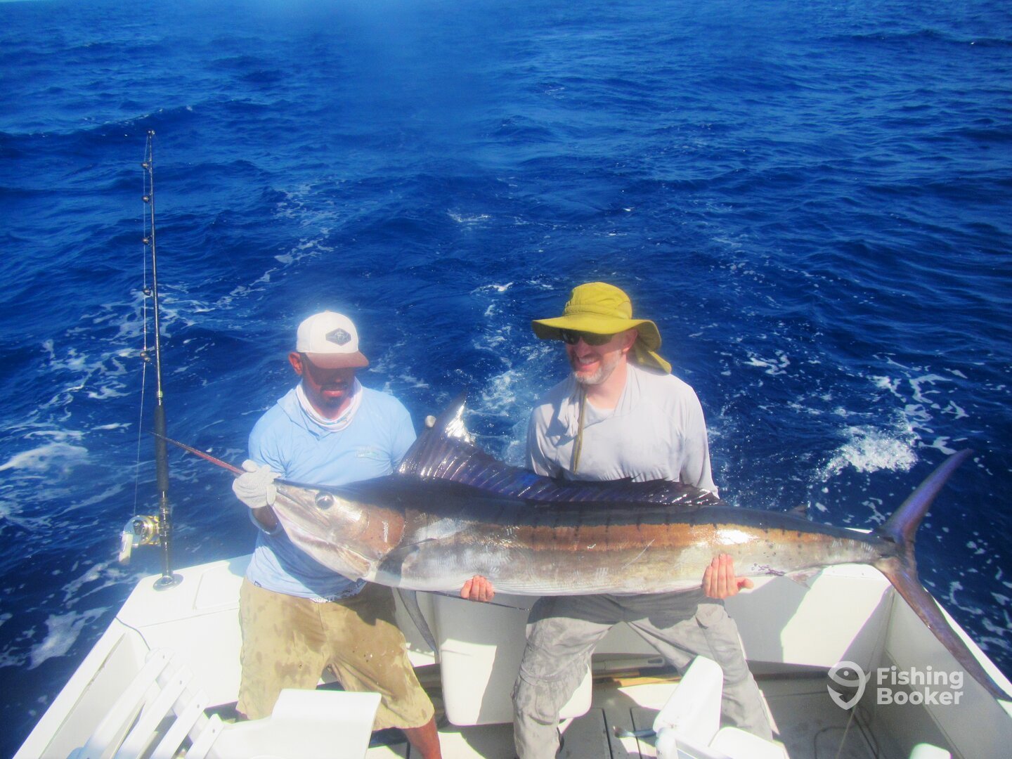 Cabo San Lucas Report Photo 0