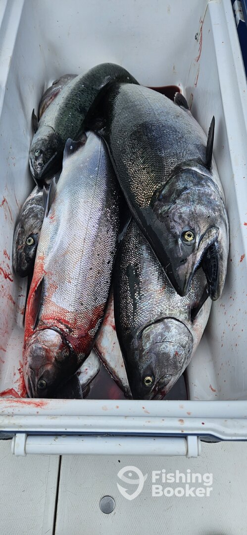Ucluelet Report Photo 0