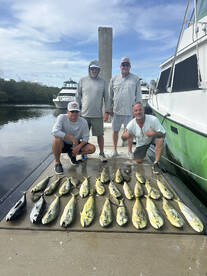 Dania Beach Report Photo 1