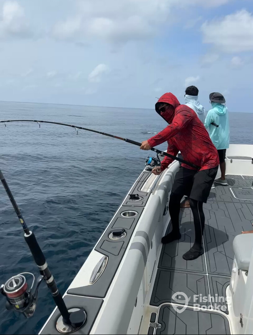 With Tuna the fights are hard