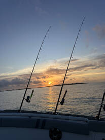 Tuna are active feeders during Sunrise & Sunset