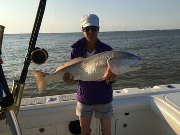 Galveston Report Photo 1
