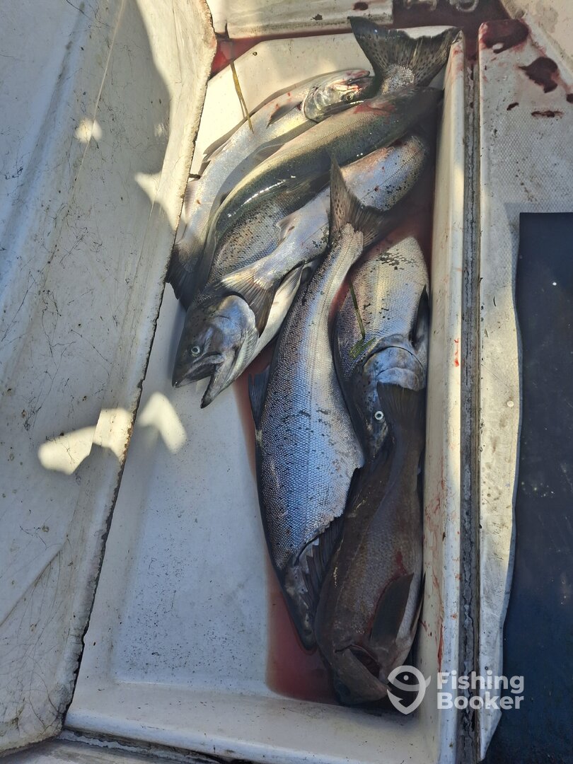 Parksville Report Photo 0