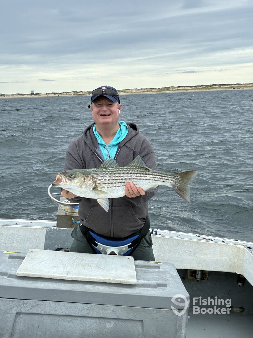 Cape Cod Report Photo 0