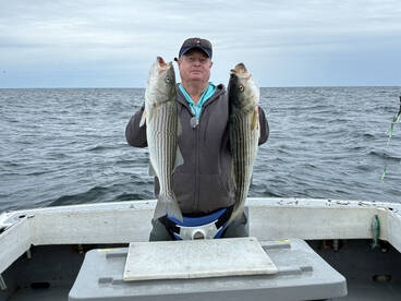 Cape Cod Report Photo 1