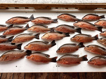 Fish fry