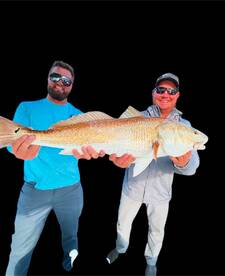 Mosquito Lagoon Report Photo 2