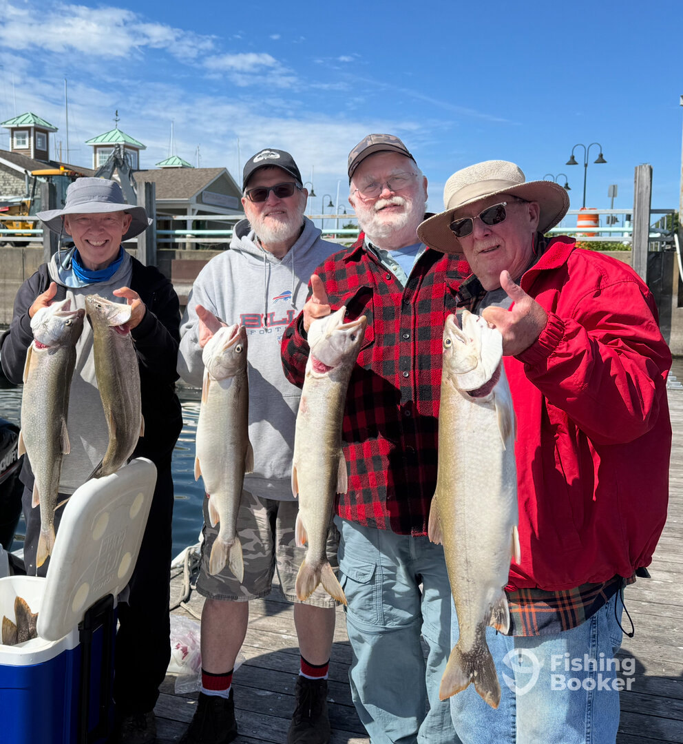 Plattsburgh Report Photo 0