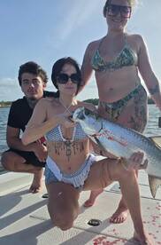 20/08/2025 afternoon action