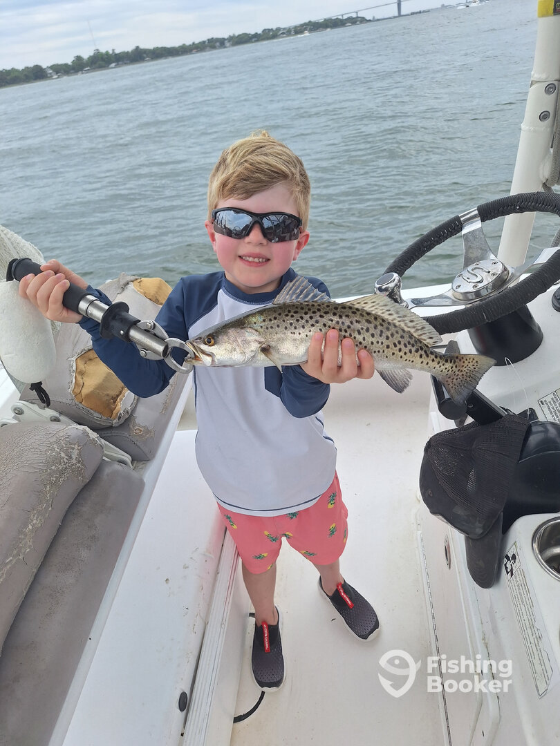 Mount Pleasant Report Photo 0