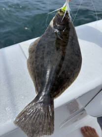Florida Keys Report Photo 2
