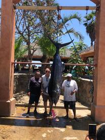 San Jose del Cabo Report Photo 1