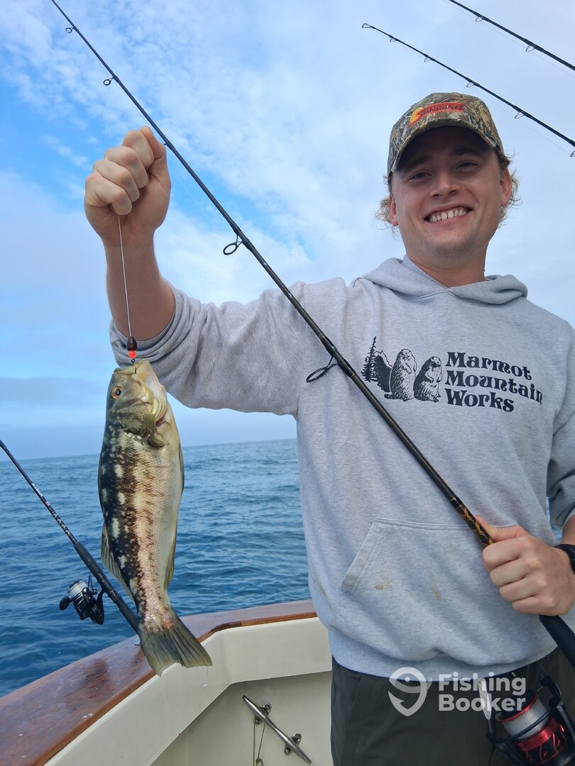 Dana Point Report Photo 0