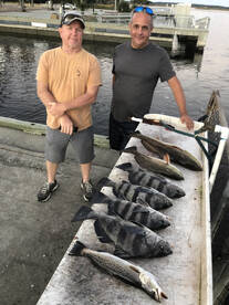 Jacksonville Report Photo 2