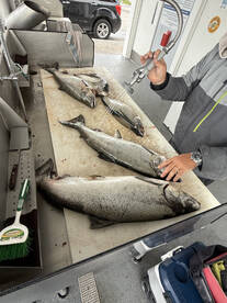 Traverse City Report Photo 2