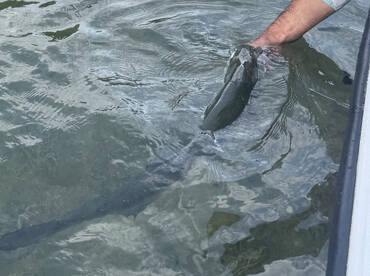 Key West Report Photo 2