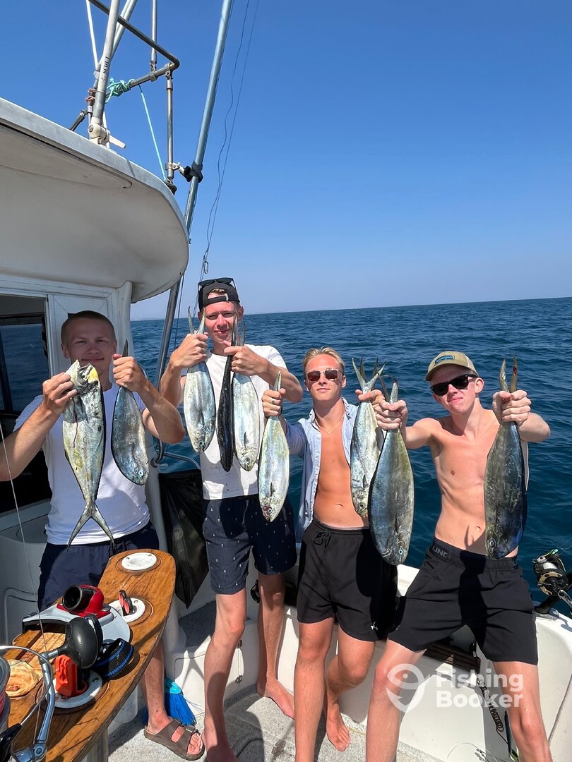 Tavira Report Photo 0