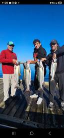Oregon Report Photo 1