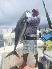 Yellowfin Tuna catches