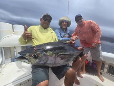 Panama City Report Photo 2