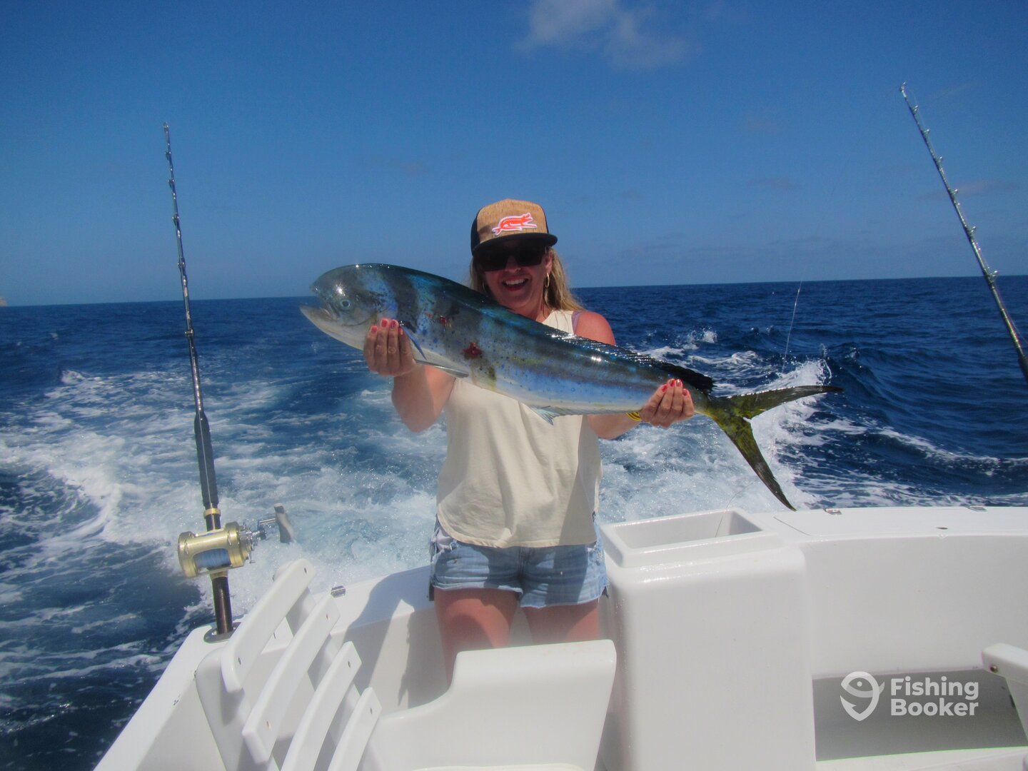 Cabo San Lucas Report Photo 0