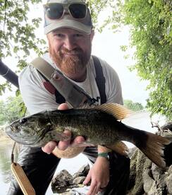 Dry flies and euro nymph combo