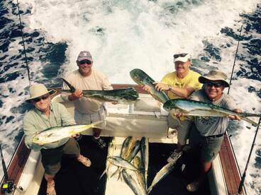  It's May not Windy March 