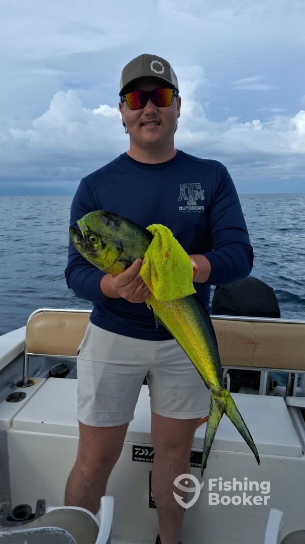 Puerto Vallarta Report Photo 0