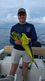 Puerto Vallarta Report Photo 1