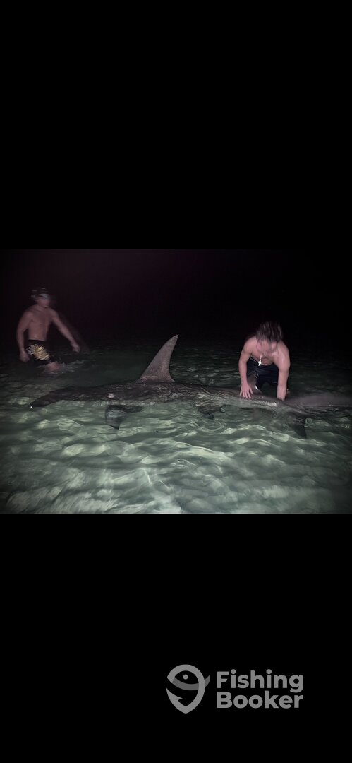 Destin Report Photo 0