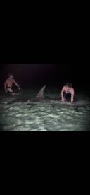 Destin Report Photo 1