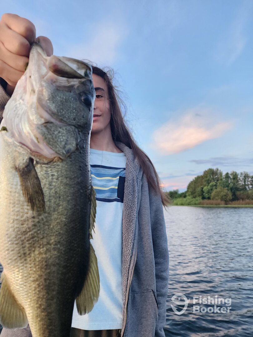 Orlando Report Photo 0