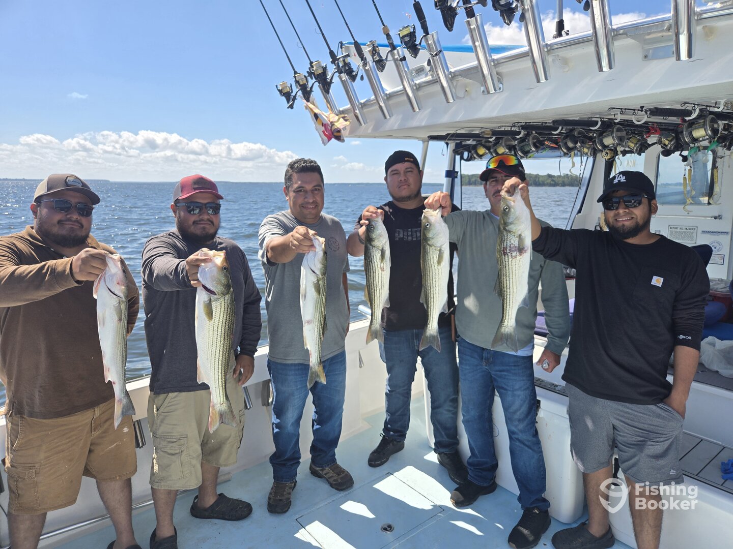 Maryland Report Photo 0
