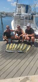 Lower Keys Report Photo 4