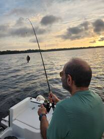 DeBary Report Photo 1