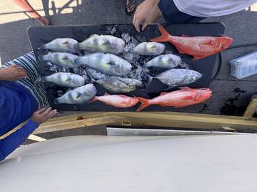 Now thats a few special meals