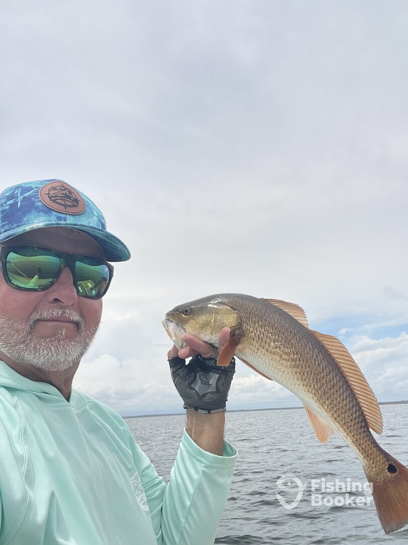Steinhatchee Report Photo 0