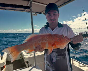 Coral Trout