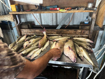 Detroit River Report Photo 1