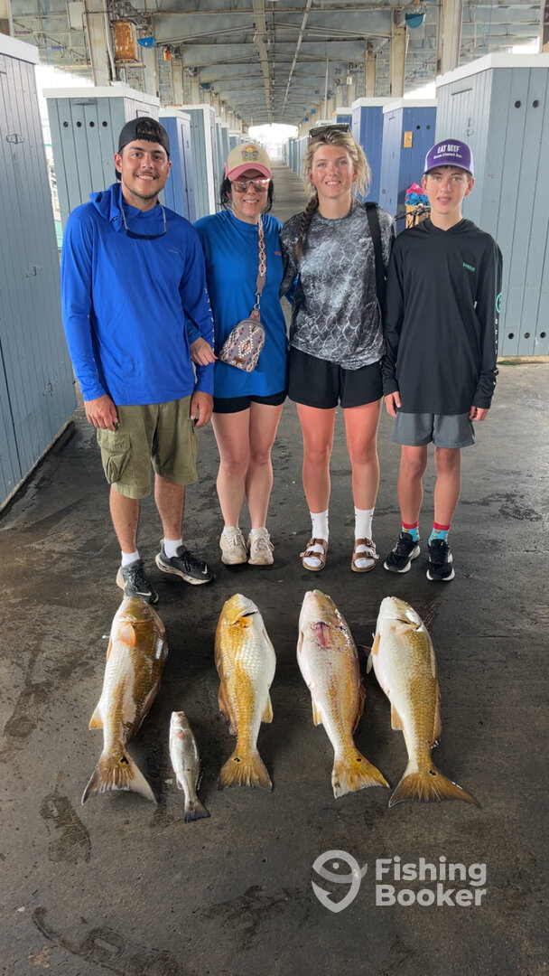 Pelican Island Report Photo 0