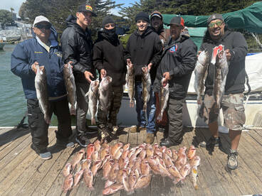 Excellent rockfish + lingcod