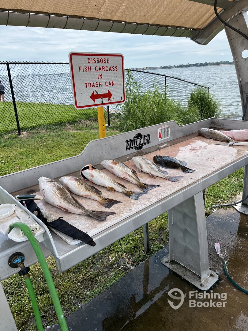 Houston Report Photo 0