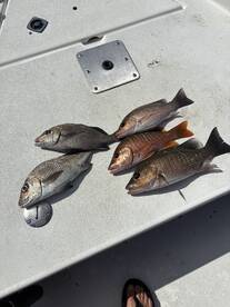 Treasure Coast Report Photo 2