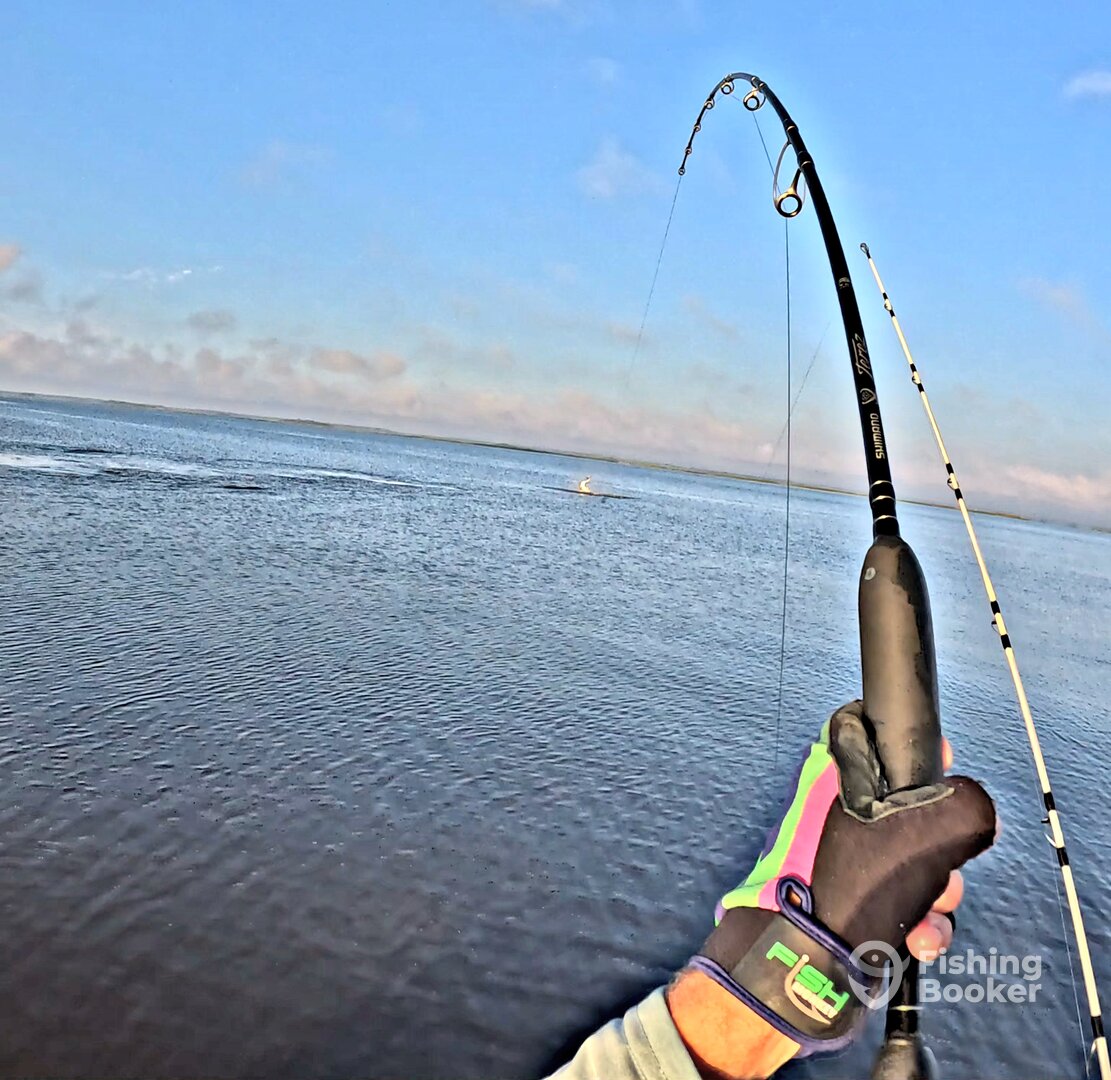 South Carolina Report Photo 0