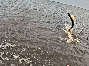 Georgetown Report Photo 1